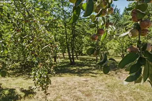 23173 SE Hwy 212, Damascus, OR 97089 - Photo 9