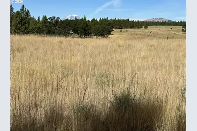 3 Horst Ln, Goldendale, WA 98620 - Photo 3