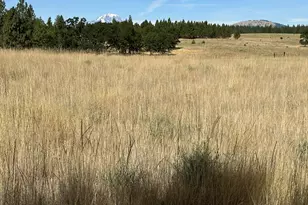 3 Horst Ln, Goldendale, WA 98620 - Photo 3