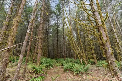 22994 Redoak Ln, Veneta, OR 97487 - Photo 13