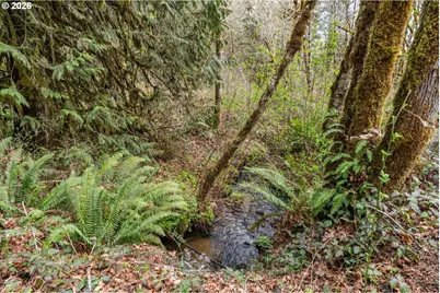 22994 Redoak Ln, Veneta, OR 97487 - Photo 11