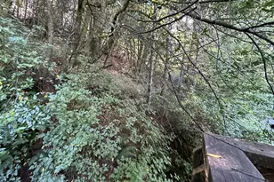 99899 S Bank Chetco Rd, Brookings, OR 97415 - Photo 3