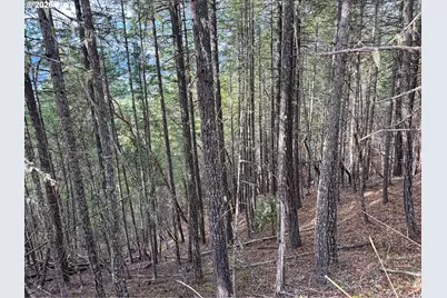 Pleasant Cr Rd, Rogue River, OR 97537 - Photo 37