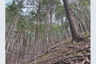 Pleasant Cr Rd, Rogue River, OR 97537 - Photo 29