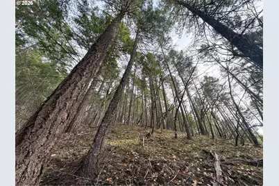 Pleasant Cr Rd, Rogue River, OR 97537 - Photo 25