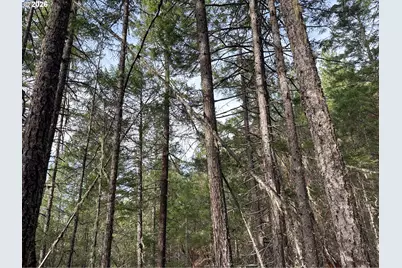 Pleasant Cr Rd, Rogue River, OR 97537 - Photo 31
