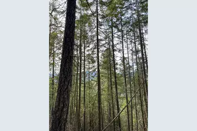 Pleasant Cr Rd, Rogue River, OR 97537 - Photo 35
