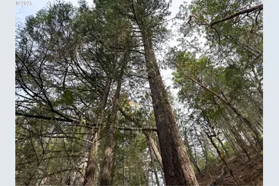 Pleasant Cr Rd, Rogue River, OR 97537 - Photo 27