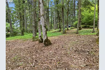 Old Dillard Rd, Eugene, OR 97405 - Photo 7