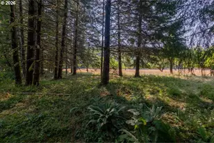 36435 Devitt Rd, Blodgett, OR 97326 - Photo 47