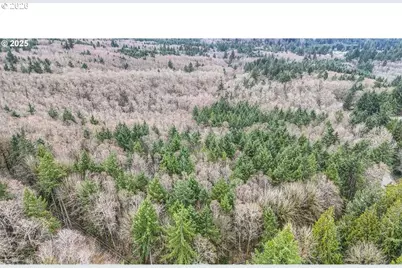 Neer City Rd, Rainier, OR 97048 - Photo 5