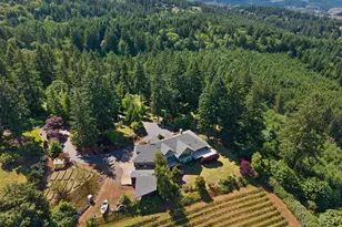 18885 NE Buena Vista Dr, Dundee, OR 97115 - Photo 3