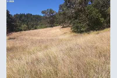 0 NW Broad St, Roseburg, OR 97471 - Photo 9