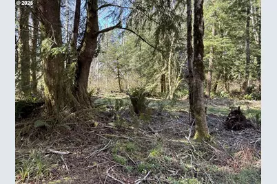 Cinnabar Lot 4, North Bend, OR 97459 - Photo 3