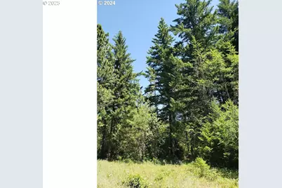 Sleepy Hollow Rd, Lyle, WA 98635 - Photo 7