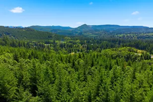 225 Ham Rd, Amboy, WA 98601 - Photo 43