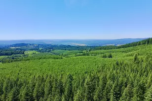 48000 E Larch Mountain Rd, Corbett, OR 97019 - Photo 47