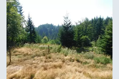 55102 Siedelman Rd, Vernonia, OR 97064 - Photo 41