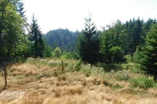 55102 Siedelman Rd, Vernonia, OR 97064 - Photo 41
