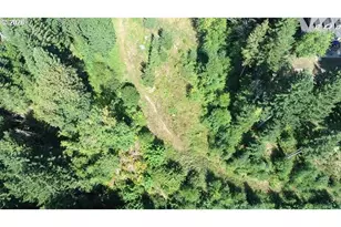 55102 Siedelman Rd, Vernonia, OR 97064 - Photo 5