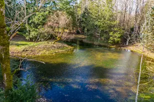 1010 NE 265th Ct, Camas, WA 98607 - Photo 33