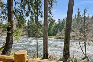 54850 McKenzie River Dr, Blue River, OR 97413 - Photo 27