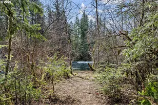 54850 McKenzie River Dr, Blue River, OR 97413 - Photo 37