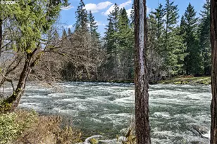 54850 McKenzie River Dr, Blue River, OR 97413 - Photo 29