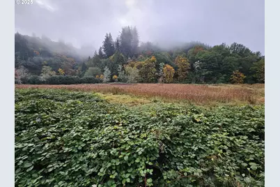 63674 Daniels Creek Rd, Coos Bay, OR 97420 - Photo 41