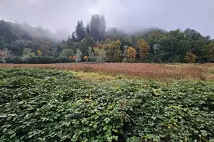 63674 Daniels Creek Rd, Coos Bay, OR 97420 - Photo 41