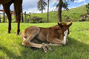 61615 High Valley Rd, Union, OR 97883 - Photo 41