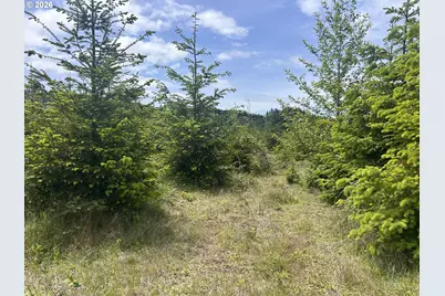 Eden Valley Rd, Rosburg, WA 98643 - Photo 3