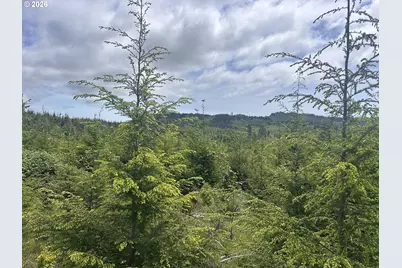 Eden Valley Rd, Rosburg, WA 98643 - Photo 7