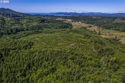 Eden Valley Rd, Rosburg, WA 98643 - Photo 11
