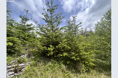 Eden Valley Rd, Rosburg, WA 98643 - Photo 5