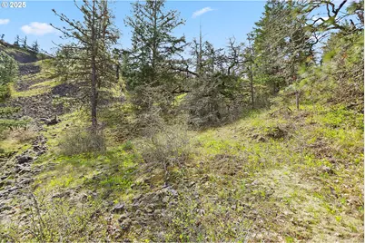 Asher Street #37, Mosier, OR 97040 - Photo 11