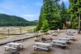 Cabin 187 Northwoods, Cougar, WA 98616 - Photo 33