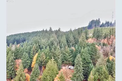 6015 NW High Heaven Rd, McMinnville, OR 97128 - Photo 39