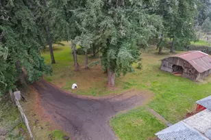 38269 Lower Brice Creek Rd, Dorena, OR 97434 - Photo 35