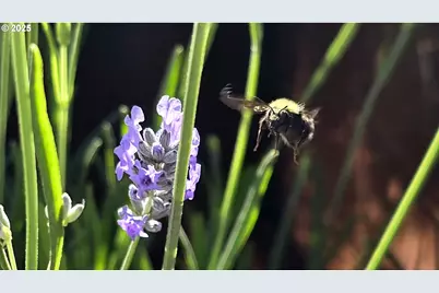 97972 Hallway Rd #23, Brookings, OR 97415 - Photo 21