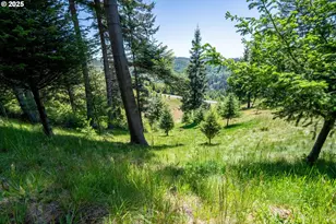 Bridgeview Dr, Brookings, OR 97415 - Photo 19