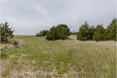 11119 Pacific Way, Long Beach, WA 98631 - Photo 9