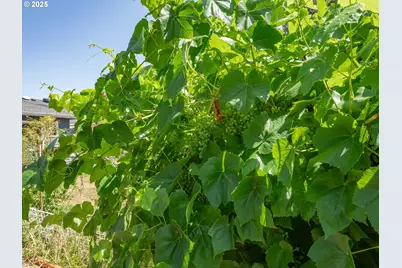 500 E Pinehurst Dr, Newberg, OR 97132 - Photo 39