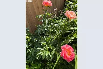 6626 SE 85th Ave, Portland, OR 97266 - Photo 39