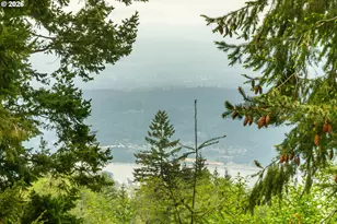 123 Blackjack Dr, Kalama, WA 98625 - Photo 43