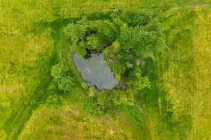 84115 N Enterprise Rd, Pleasant Hill, OR 97455 - Photo 17