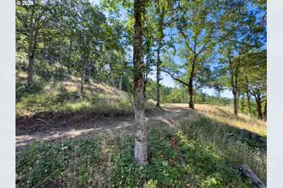 34 Jewett Creek Lp Rd, White Salmon, WA 98672 - Photo 11