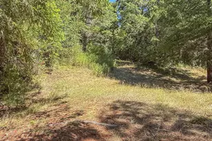 27001 State Hwy 42, Camas Valley, OR 97416 - Photo 17