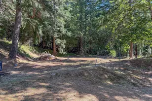 27001 State Hwy 42, Camas Valley, OR 97416 - Photo 15