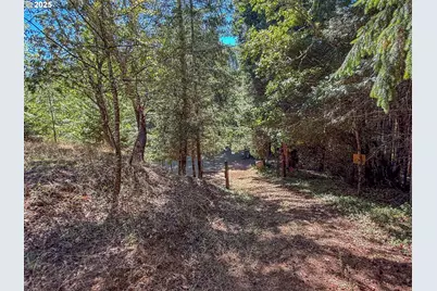 27001 State Highway 42, Camas Valley, OR 97416 - Photo 11